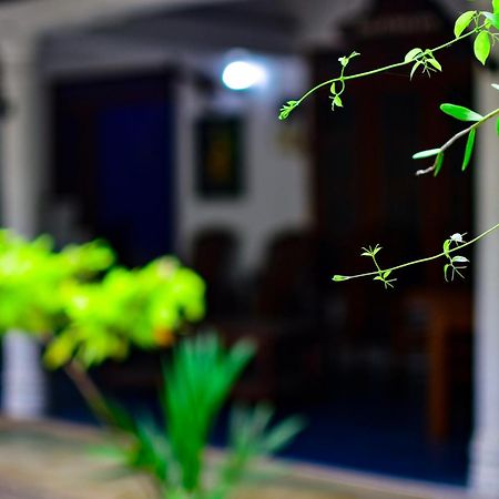 Tourist Holiday Inn Dambulla Eksteriør billede