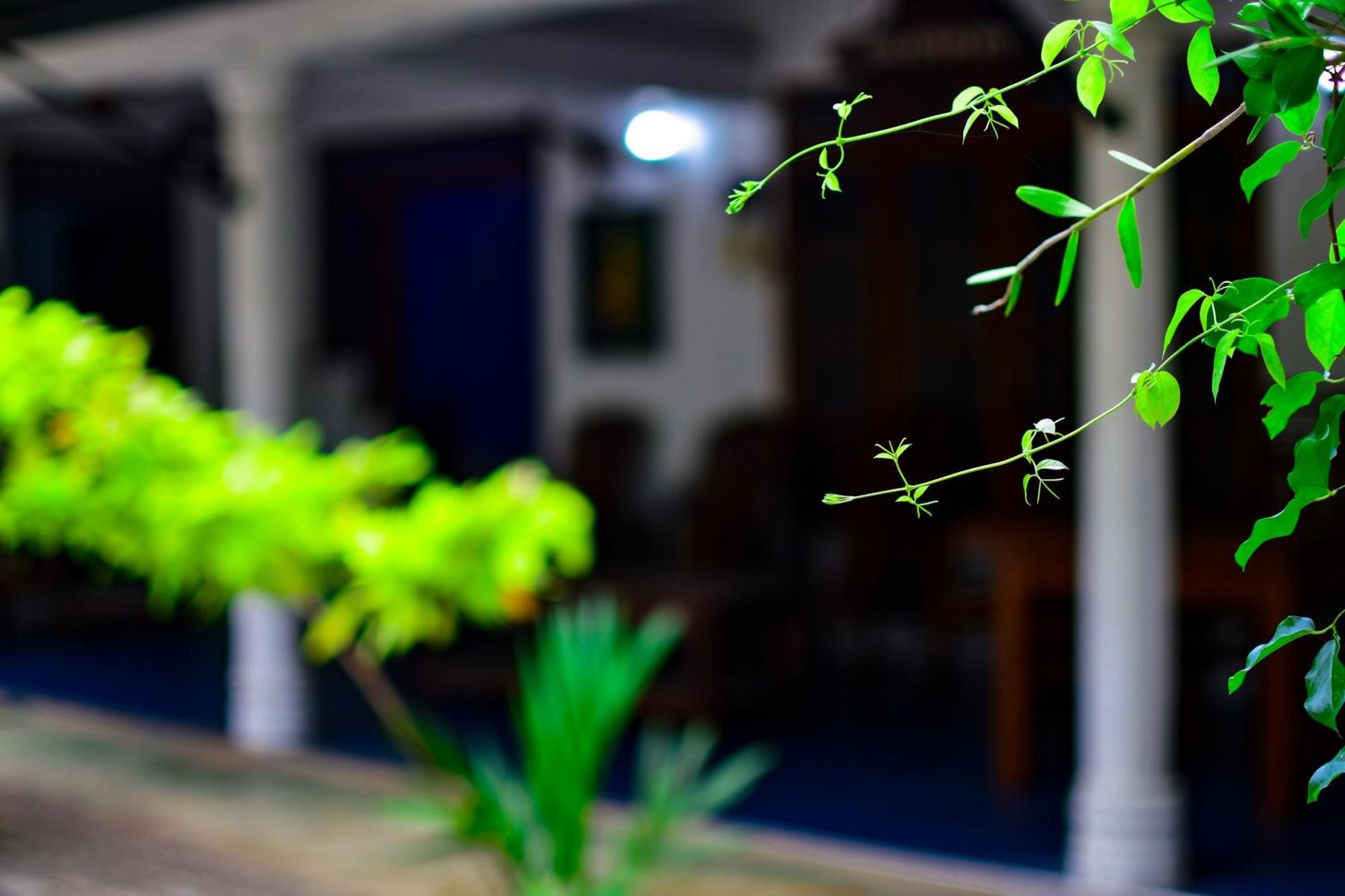 Tourist Holiday Inn Dambulla Eksteriør billede